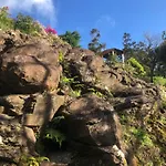 Flores Garden Retreat * Santa Cruz das Flores