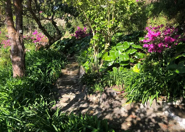 Дом отдыха Flores Garden Retreat *