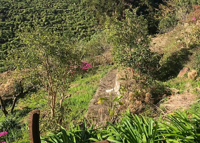 Flores Garden Retreat Дом отдыха *