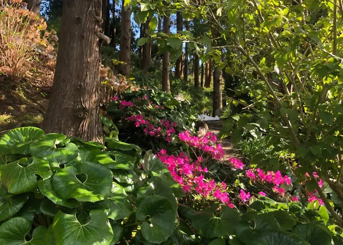 Flores Garden Retreat Дом отдыха *