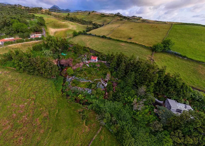 Flores Garden Retreat Дом отдыха Санта-Круш-даш-Флориш