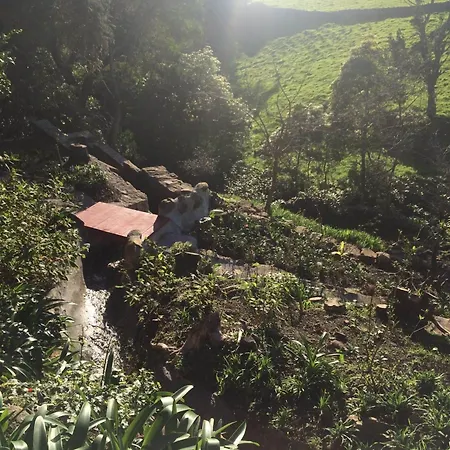 Flores Garden Retreat בית נופש *