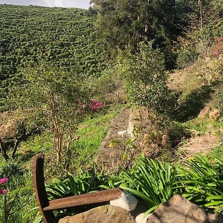 Flores Garden Retreat בית נופש *