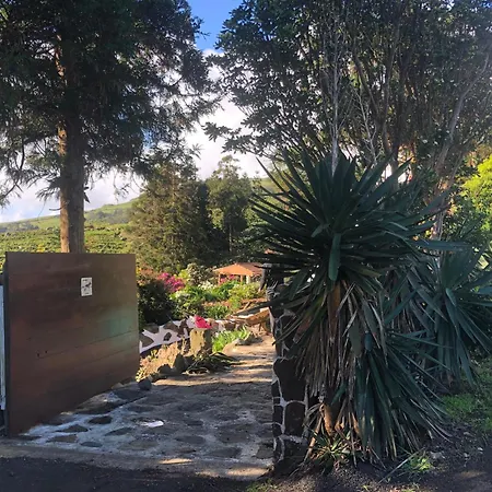 Flores Garden Retreat