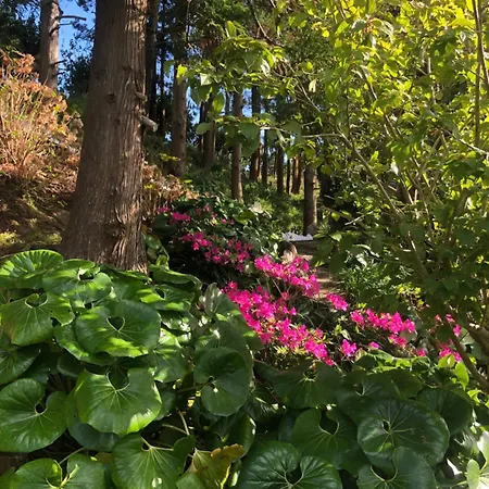 Flores Garden Retreat בית נופש *